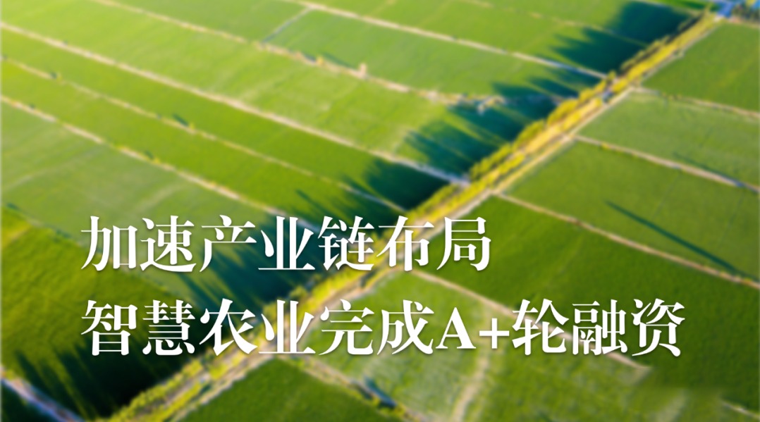 加速农业产业链布局，OKPay钱包(中国)农业完成A+轮融资