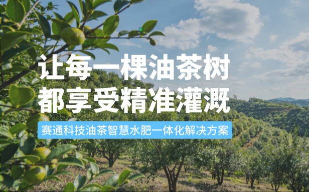 赛通科技油茶OKPay钱包(中国)水肥一体化解决方案：让每一棵油茶树都享受精准灌溉